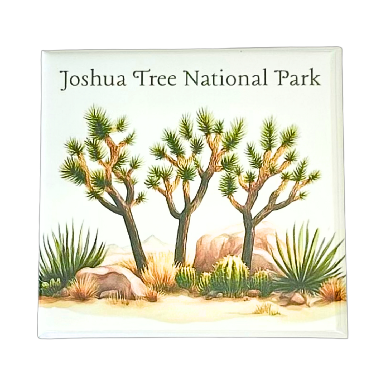 Joshua Tree National Park magnet with illustrated Joshua trees, desert plants, and boulders on white background
