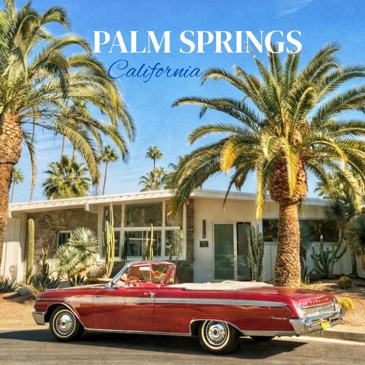 Palm Springs Magnets shown on table.