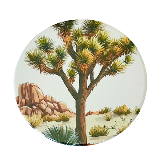 Square coaster featuring a watercolor illustration of a single Joshua tree with desert scrub, agave, and pink boulder formations against a soft white background.