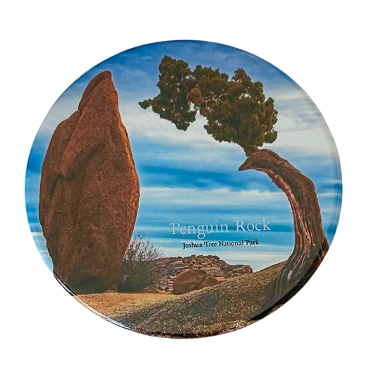 Square coaster featuring a photo of Penguin Rock at Joshua Tree National Park — a tall pointed boulder beside a wind-bent juniper tree under a vivid blue sky.
