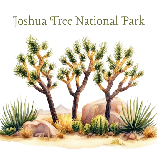 Joshua Tree National Park Magnet – Desert Landscape Souvenir