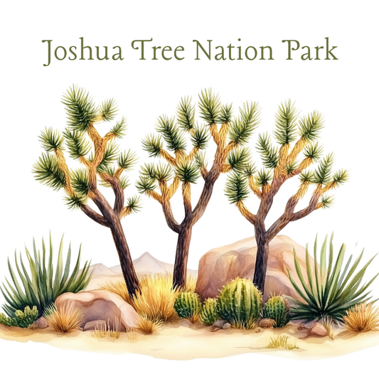 Joshua Tree National Park magnet featuring watercolor desert landscape with Joshua Trees, cactus plants, and Southwest scenery.