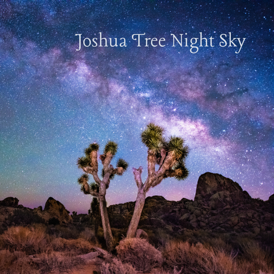 Joshua Tree magnet featuring Milky Way night sky over desert landscape and iconic Joshua Trees in California.