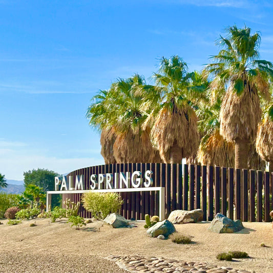 Palm Springs California sign magnet with palm trees and desert landscape