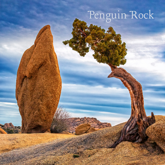 Penguin Rock magnet featuring iconic Joshua Tree desert landscape with dramatic skies, rock formations, and a windswept desert tree in California.